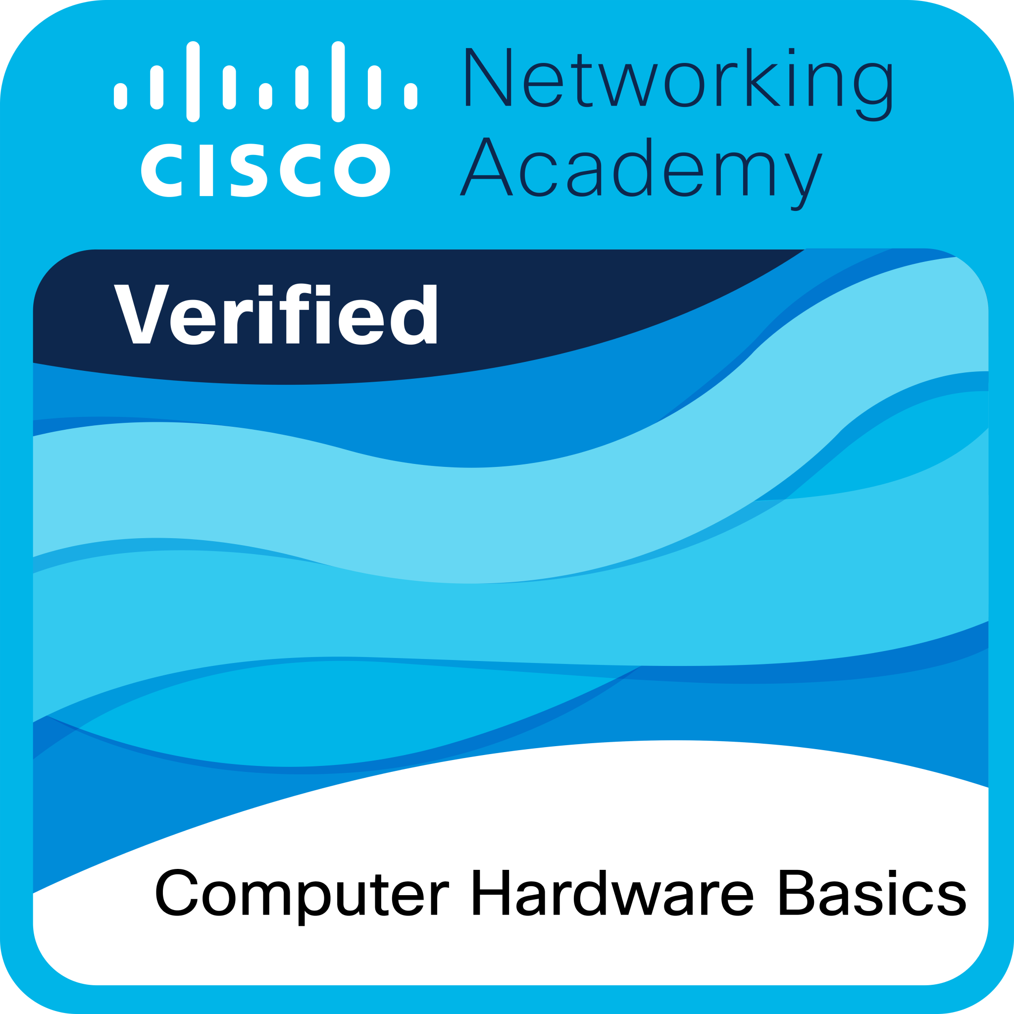 Cisco Networking Academy Cert